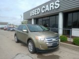Used 2012 Ford Edge SEL image 2