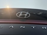 Used 2023 Hyundai Elantra Limited image 4