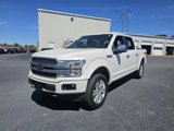 Used 2019 Ford F150 Platinum w/ Equipment Group 701A Luxury image 3
