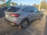 New 2025 Ford Escape ST-Line w/ Tech Pack #1 image 3