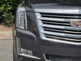 Used 2015 Cadillac Escalade Platinum image 4