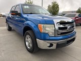 Used 2014 Ford F150 XLT w/ Equipment Group 301A Mid image 4