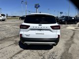 Used 2024 Ford Escape Active image 5