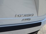 Used 2022 Lexus NX 250 AWD image 4