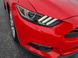 Used 2015 Ford Mustang Premium w/ Equipment Group 201A image 5