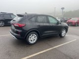New 2025 Ford Escape Active w/ Cold Weather Package image 4