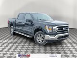 Used 2022 Ford F150 XLT w/ Equipment Group 302A High image 1