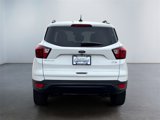 Used 2019 Ford Escape SE image 4