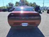 Used 2019 Dodge Challenger SXT image 5