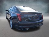 New 2025 Cadillac CT5 Premium Luxury image 3