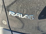 Used 2021 Toyota RAV4 XLE image 6