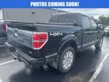 Used 2010 Ford F150 Platinum image 2
