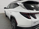 Used 2024 Hyundai Tucson Limited image 6
