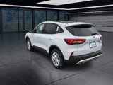 Used 2025 Ford Escape Active w/ Cold Weather Package image 6