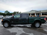 Used 2013 Ford F150 XLT w/ Luxury Equipment Group image 3