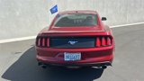 Certified 2016 Ford Mustang Premium w/ Pony Package image 5