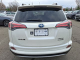 Used 2016 Toyota RAV4 Limited image 5