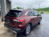 Used 2021 Ford Escape SEL w/ Technology Package image 3