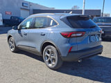 New 2025 Ford Escape ST-Line w/ Tech Pack #1 image 5
