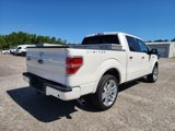 Used 2014 Ford F150 Limited image 4