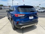 Used 2022 Ford Escape SEL image 6