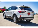 Used 2022 Ford Escape SE image 5