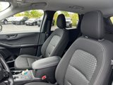 Used 2025 Ford Escape Active w/ Cold Weather Package image 5
