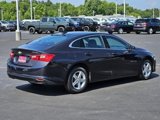 Used 2023 Chevrolet Malibu LT image 6