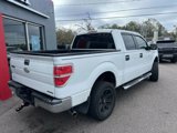 Used 2012 Ford F150 XLT w/ XLT Chrome Pkg image 6