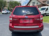 Used 2014 Subaru Forester 2.5i Premium w/ Protection Package #1 image 6