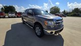 Used 2014 Ford F150 XLT w/ Equipment Group 302A Luxury image 3