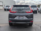 Used 2019 Honda CR-V EX-L image 5