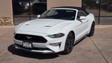 Used 2022 Ford Mustang Premium image 2