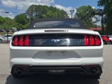 Used 2018 Ford Mustang Premium image 4