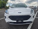 Used 2020 Ford Escape SE image 2
