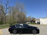 Used 2017 Honda Accord Sport Special Edition image 4