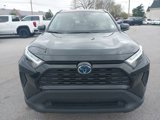 Used 2022 Toyota RAV4 XLE image 3