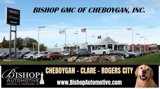 Used 2023 Nissan Murano SV image 5