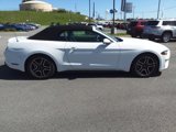 Used 2018 Ford Mustang Premium image 3