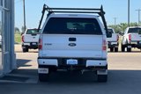 Used 2014 Ford F150 STX w/ Equipment Group 201A Mid image 5