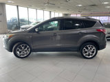 Used 2014 Ford Escape Titanium image 4