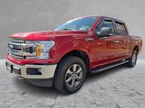 Used 2019 Ford F150 XLT w/ Equipment Group 302A Luxury image 3
