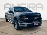 New 2024 Ford F150 XLT image 4