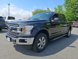 Certified 2020 Ford F150 XLT w/ Equipment Group 302A Luxury image 3