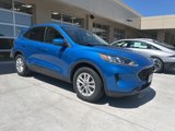 Used 2020 Ford Escape SE image 2