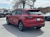 Used 2024 Ford Escape ST-Line w/ Tech Pack #1 image 4