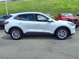 Used 2020 Ford Escape SE image 2