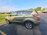 Used 2013 Ford Escape SEL image 4