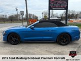 Used 2019 Ford Mustang Premium image 2