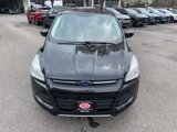 Used 2014 Ford Escape SE image 2